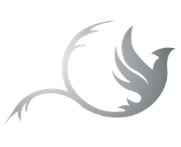 image logo